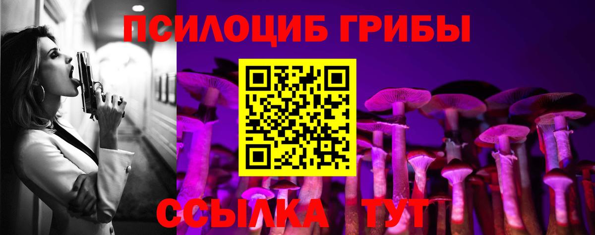 Галлюциногенные грибы прущие грибы  наркошоп  Отрадное  Вход с VPN  Псилоцибиновые грибы прущие грибы 